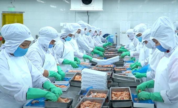 Seafood export is projected to reach a total of 10.5 billion USD this year